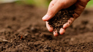 Operação Terra Forte para Recuperar o Solo Gaúcho Será Lançada Nesta Quinta