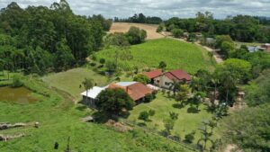 Mesmo com avanço da diversificação, tabaco segue como principal fonte de renda