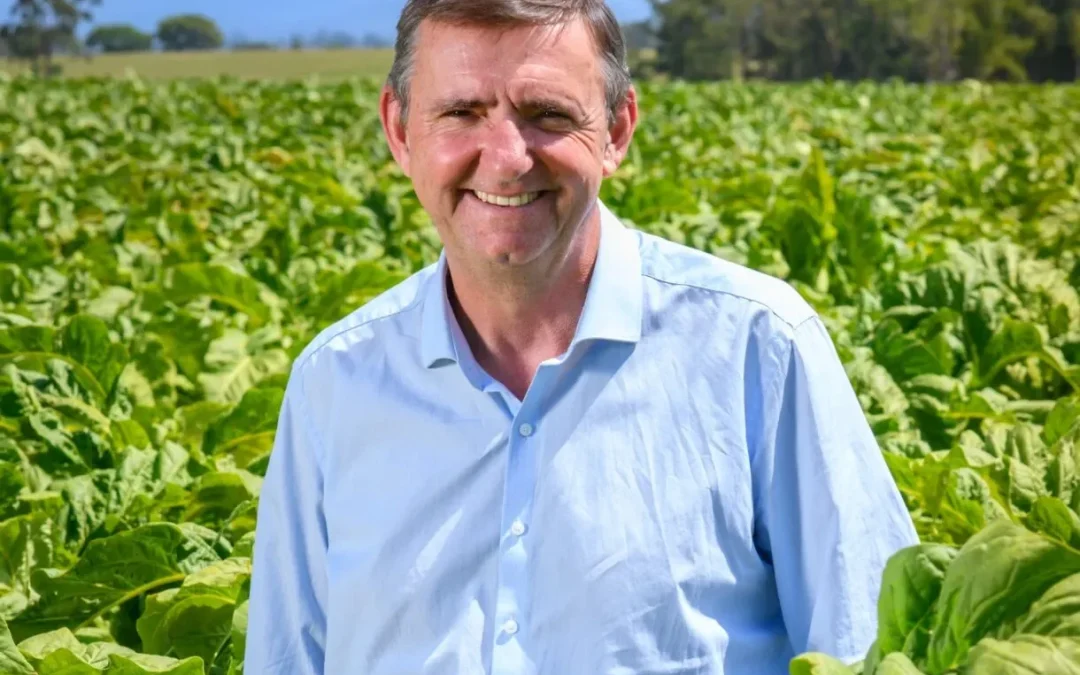 OPINIÃO – Rumo a 2026: compromisso com o setor e o futuro