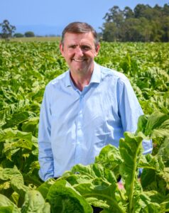 OPINIÃO – Rumo a 2026: compromisso com o setor e o futuro