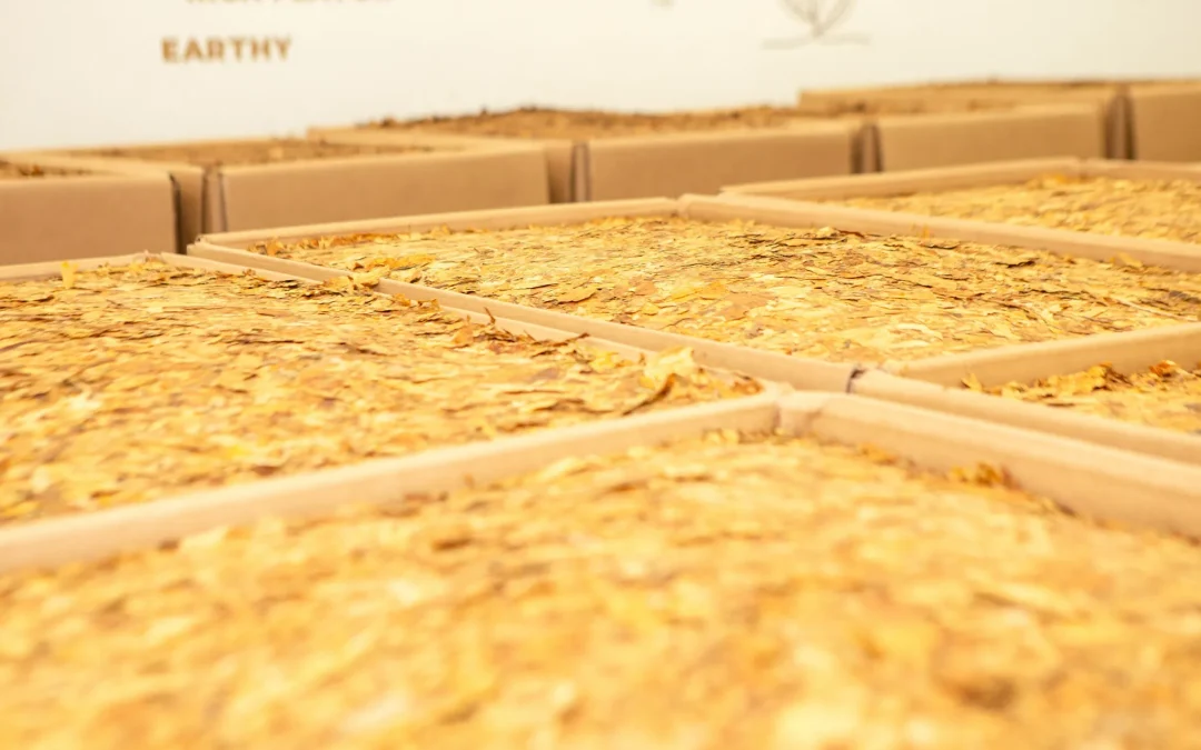 COP 11 e exportações pautam a última reunião da Câmara Setorial