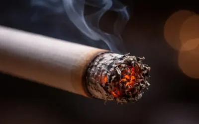 Aumento de imposto sobre cigarros pode ampliar contrabando e fortalecer crime organizado, informa associação