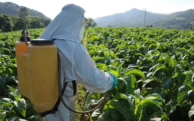 Ação permanente capacita produtores de tabaco sobre a NR-31