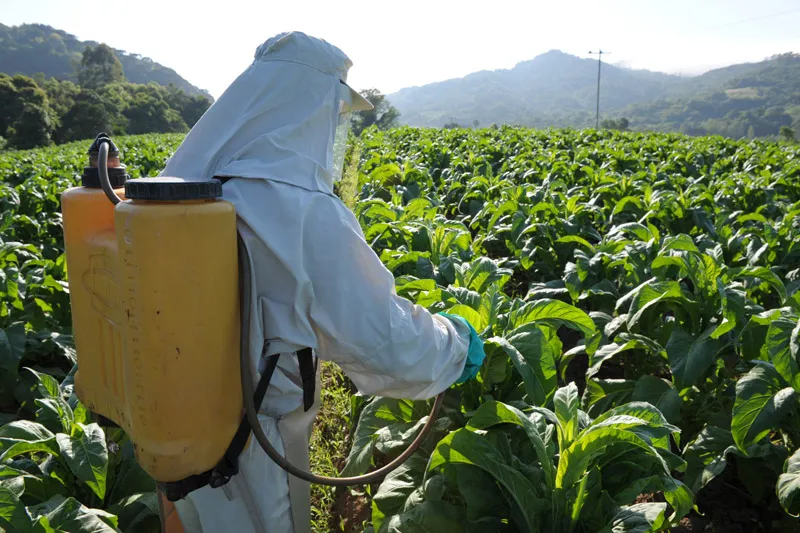 Ação permanente capacita produtores de tabaco sobre a NR-31
