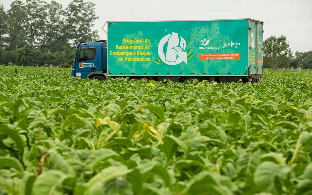 Programa promove a reciclagem das embalagens de agrotóxicos