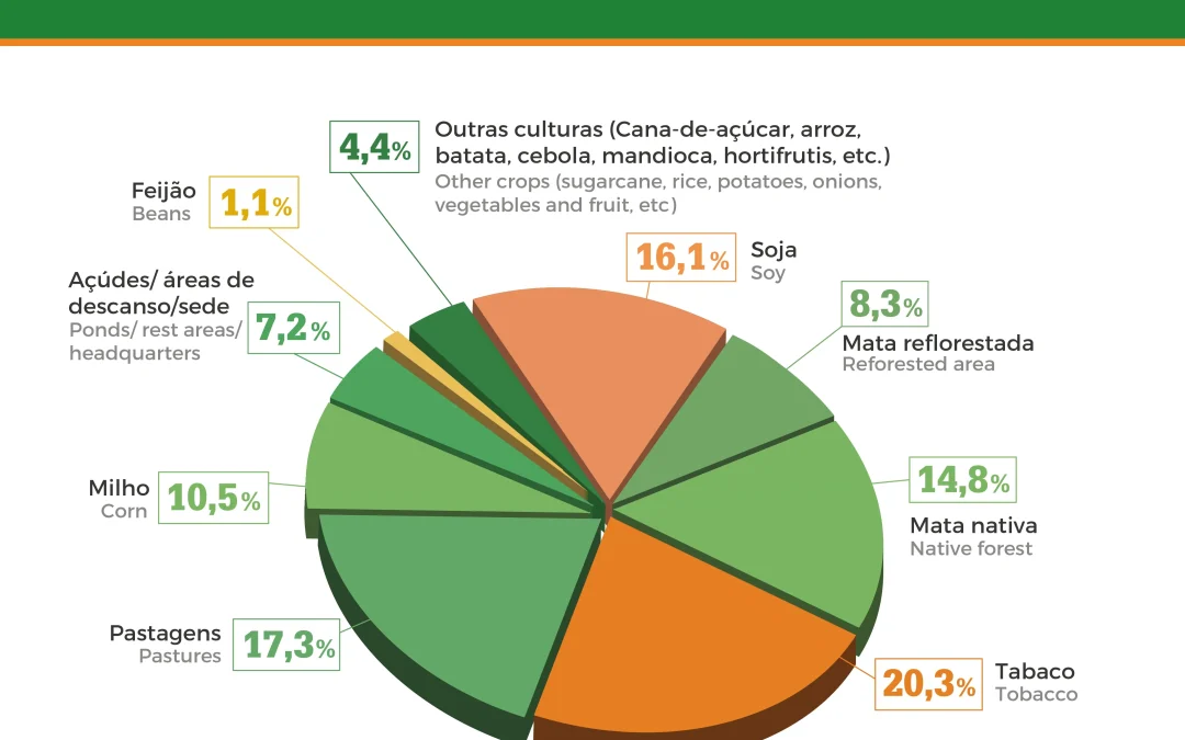 Tabaco e diversificação movimentam R$ 23,2 bilhões nas propriedades produtoras
